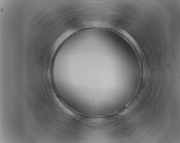 X0000067391293200604131922