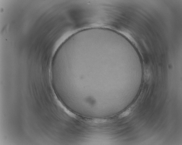 X0000067391294200604131922