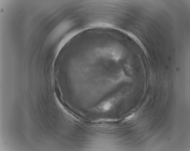 X0000067391295200604131922