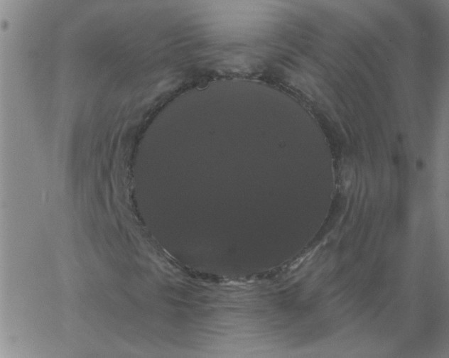 X0000067391297200604131921