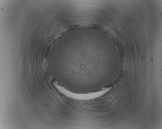 X0000067391298200604131921