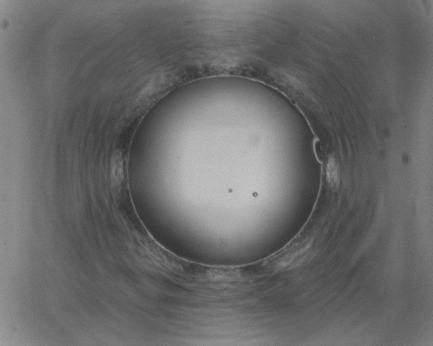 X0000067391299200604131921