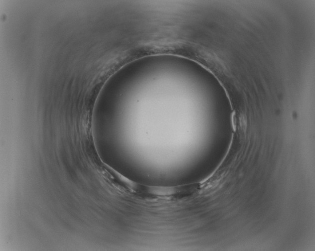 X0000067391300200604131921