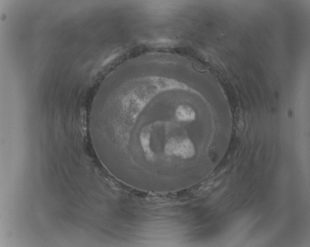 X0000067391301200604131921