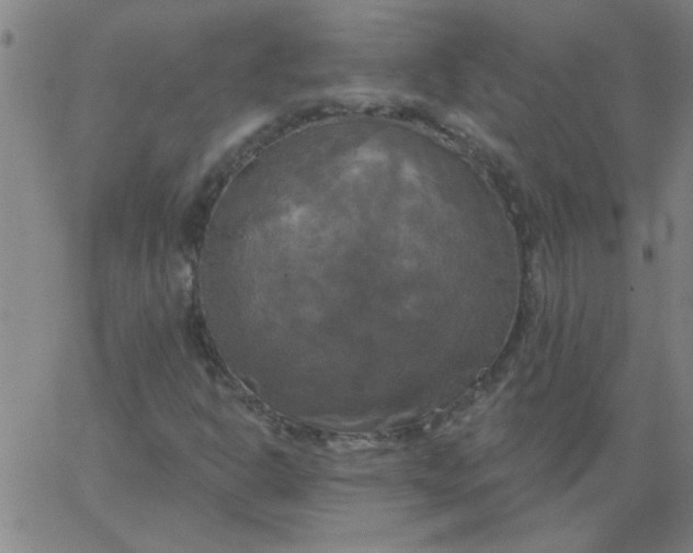 X0000067391302200604131921