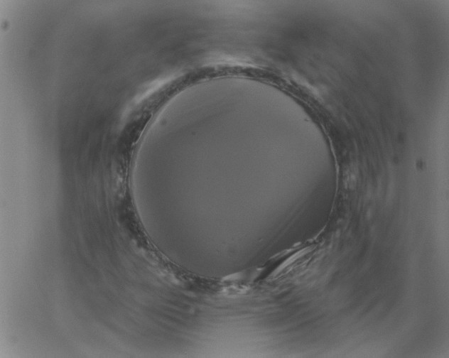 X0000067391303200604131921