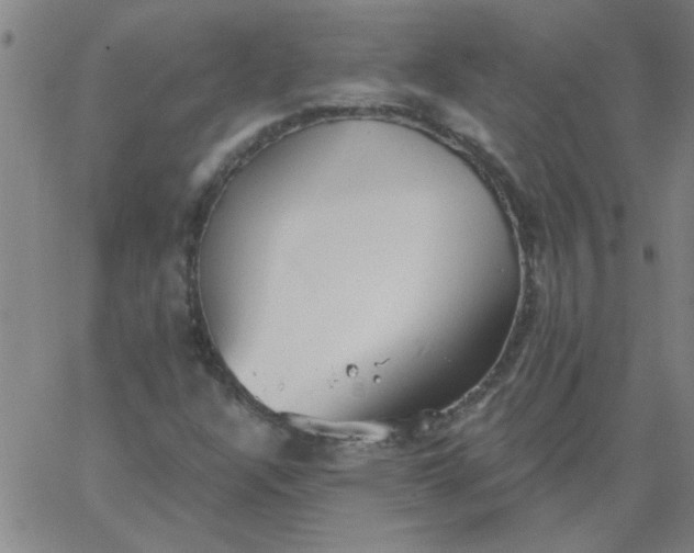 X0000067391304200604131921