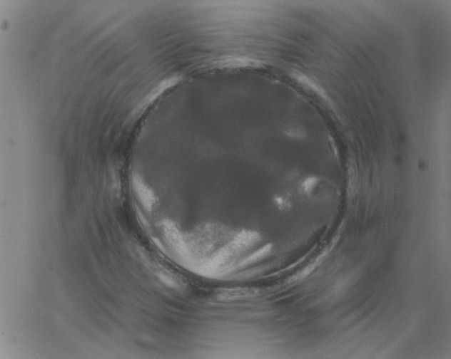 X0000067391305200604131921