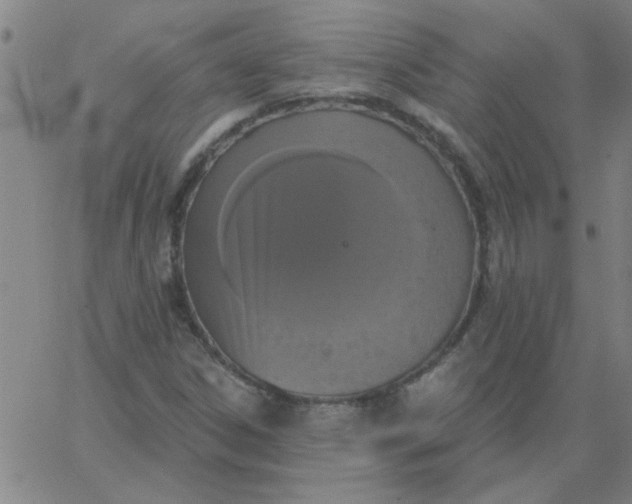 X0000067391306200604131921