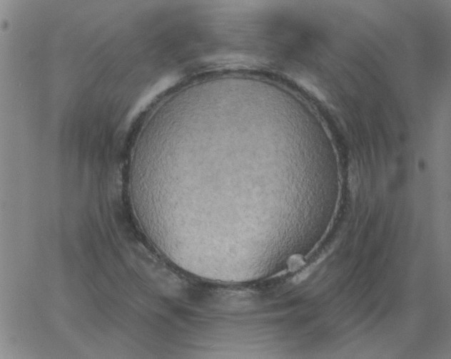 X0000067391309200604131921