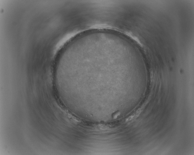 X0000067391311200604131921