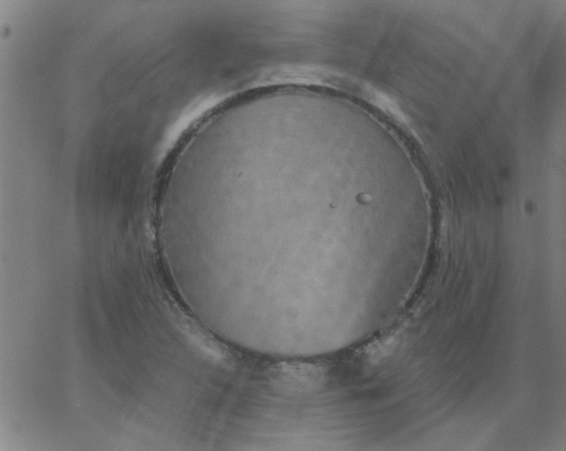 X0000067391312200604131922