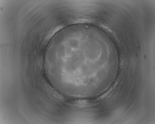 X0000067391313200604131922