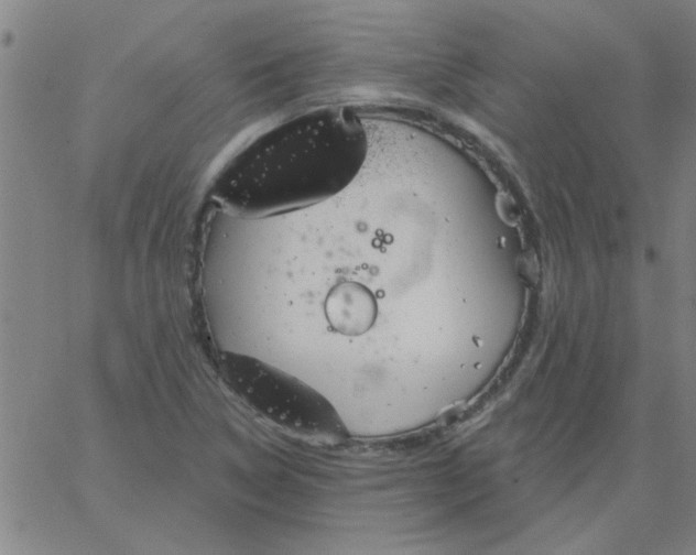 X0000067391314200604131922