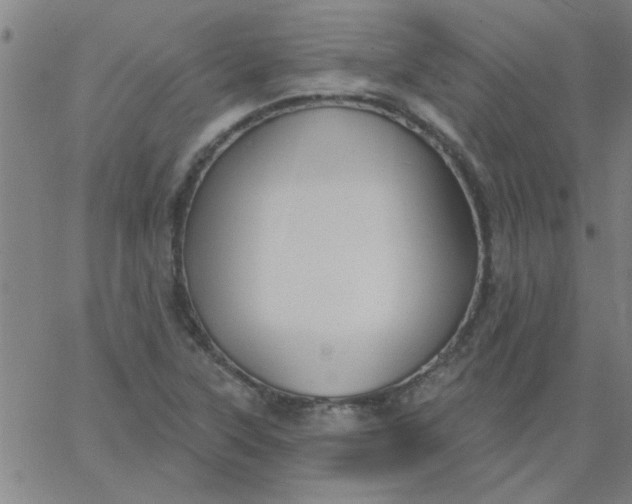 X0000067391315200604131922