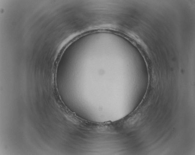 X0000067391316200604131922