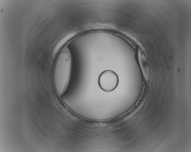 X0000067391317200604131922