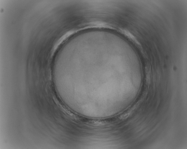 X0000067391318200604131922