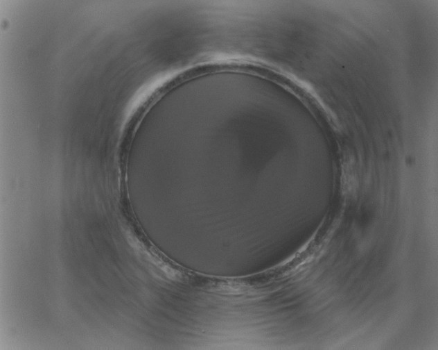 X0000067391319200604131922