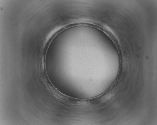 X0000067391320200604131922