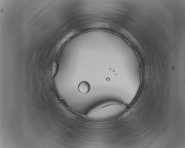 X0000067391321200604131922