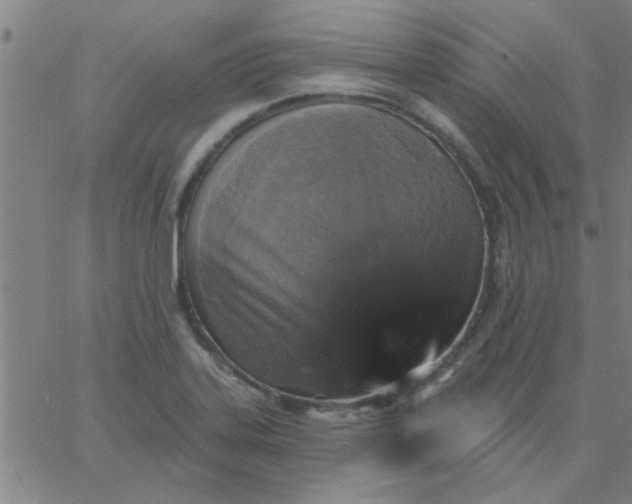 X0000067391323200604131922