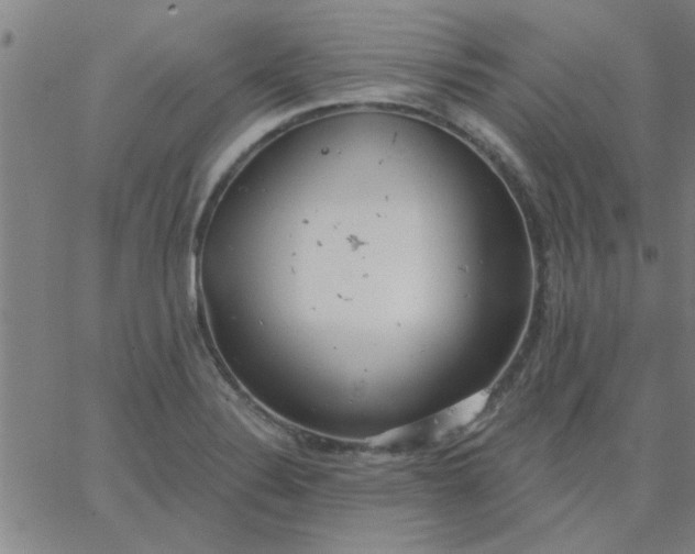 X0000067391324200604131922