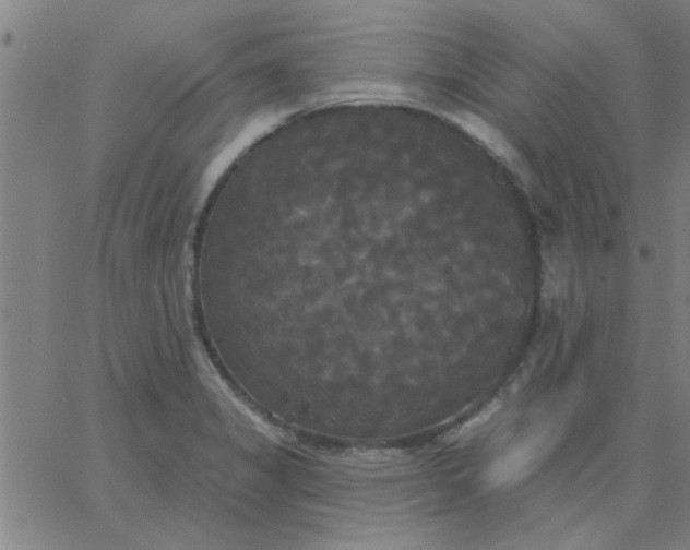 X0000067391325200604131922