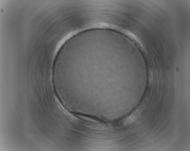 X0000067391326200604131922