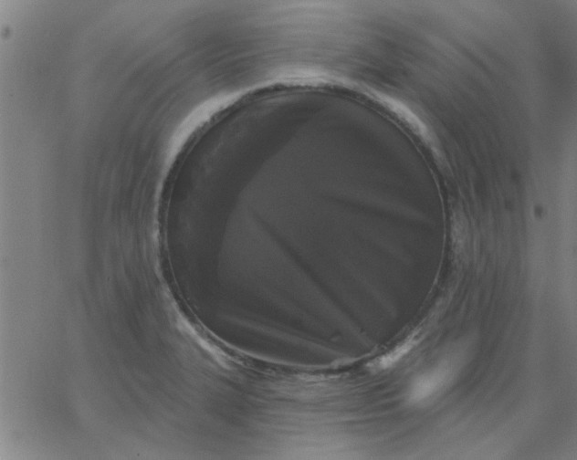 X0000067391327200604131922