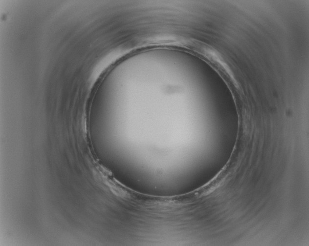 X0000067391328200604131922