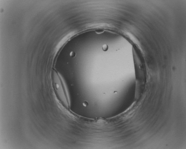 X0000067391330200604131922