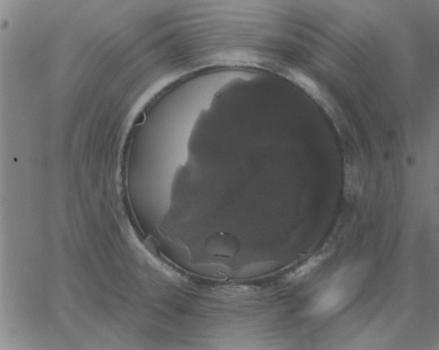 X0000067391331200604131922