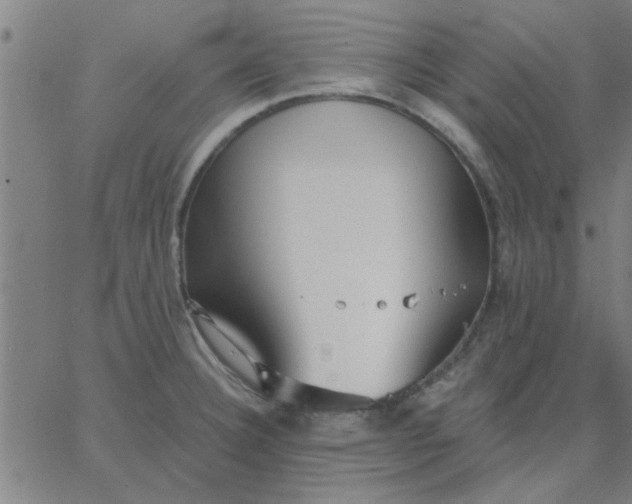 X0000067391332200604131922