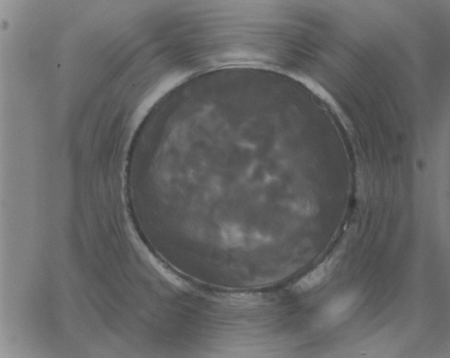 X0000067391333200604131922