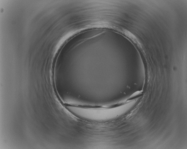 X0000067391334200604131922