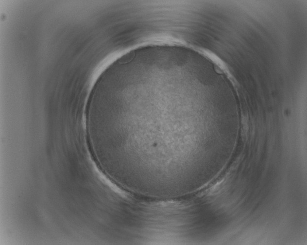 X0000067391335200604131922