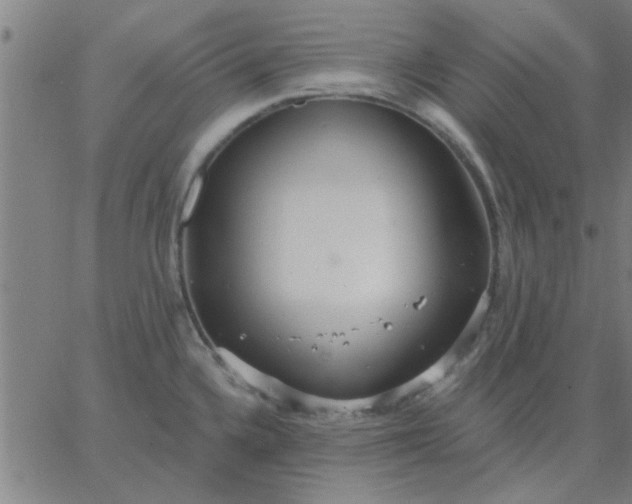 X0000067391336200604131922