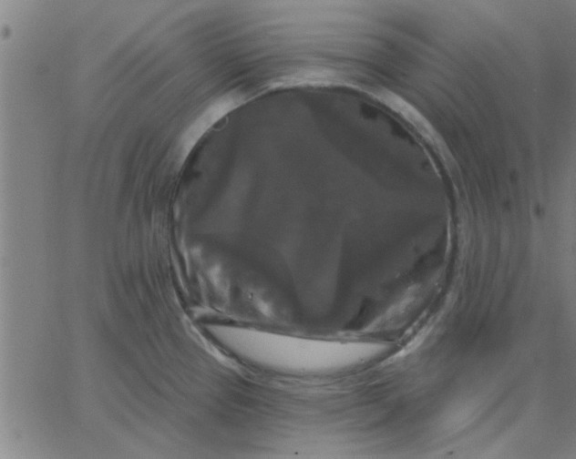 X0000067391337200604131922