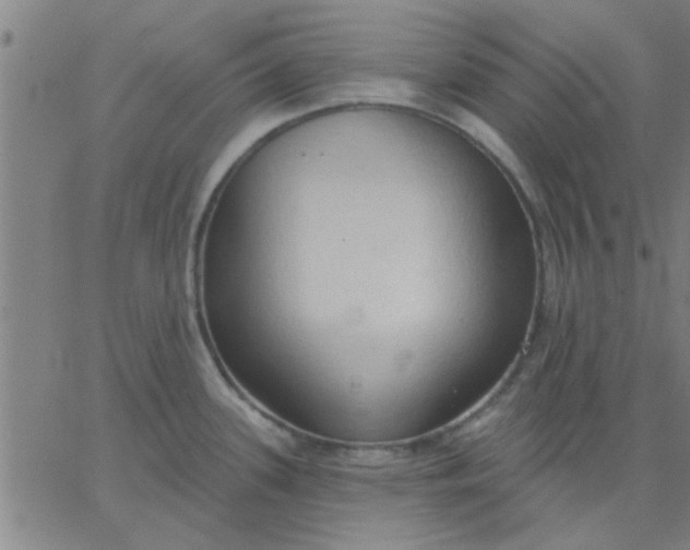 X0000067391339200604131922