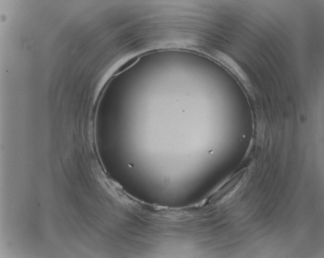 X0000067391340200604131922