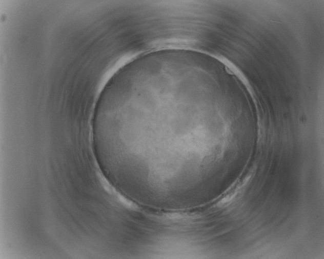 X0000067391341200604131922