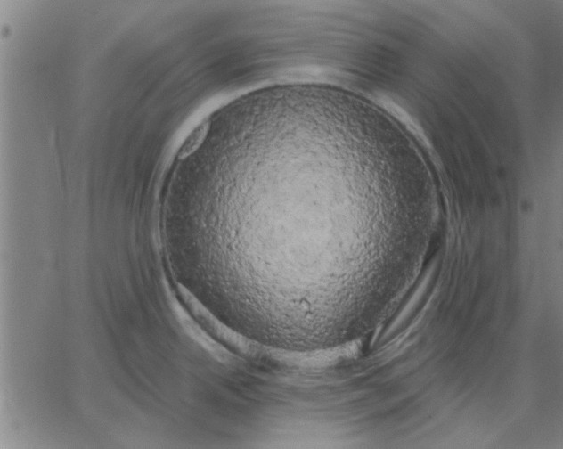 X0000067391342200604131922