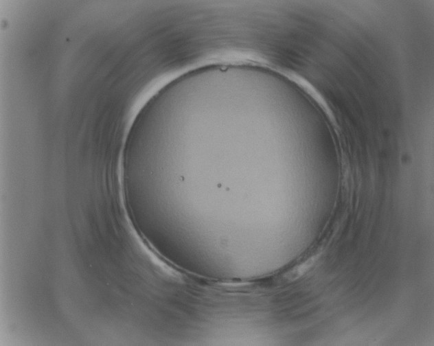 X0000067391343200604131922