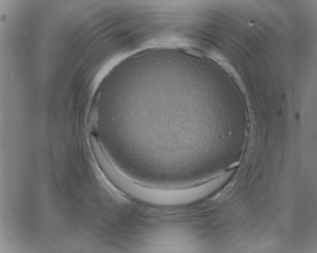 X0000067391344200604131922