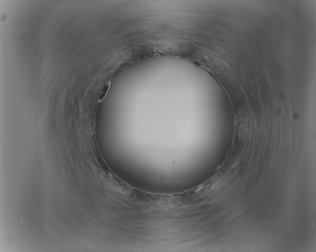 X0000067391345200604131921