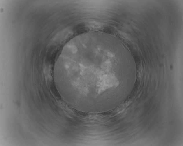 X0000067391346200604131921