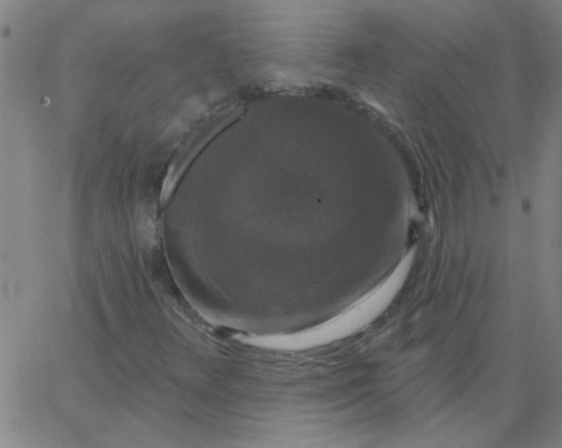 X0000067391348200604131921