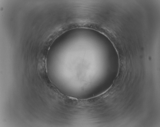 X0000067391349200604131921