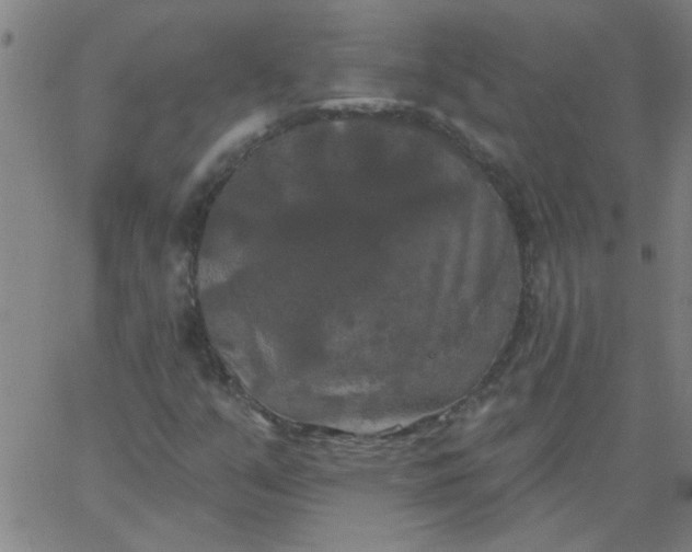 X0000067391351200604131921